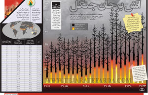 آتش بر جان جنگل