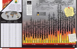 آتش بر جان جنگل