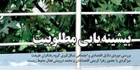 بیشینه‌یابی مطلوبیت