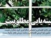 بیشینه‌یابی مطلوبیت