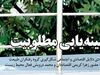 بیشینه‌یابی مطلوبیت