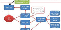 بی‌شمار باید و یک نباید