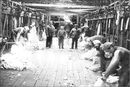 غنی، مثل آرژانتین