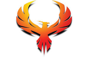 The Pirate Bay دوباره زنده شد