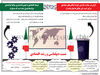 نسبت دیپلماسی و رشد اقتصادی

