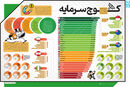 کوچ سرمایه