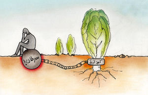 سالاد سمی
