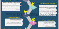 پیامدهای پدیده بی‌دولتی
