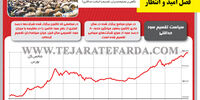 فصل امید و انتظار