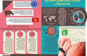 قاچاق حیات وحش؛ تهدیدی خاموش برای زیست‌بوم جهانی