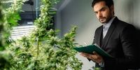 آینده‌ای روشن با کارافرینی و ایجاد اشتغال در کشاورزی