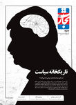 تاریکخانه سیاست