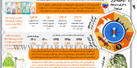 رو به سقوط
