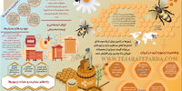 اقتصاد شیرین

