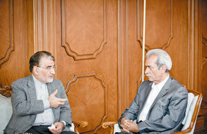 بازگشت درناها