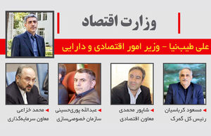 وزارت تحولات سازمانی