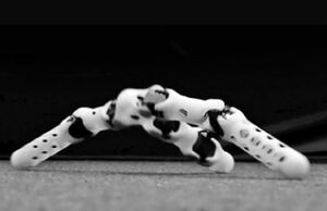روبات پرینت شده‌ و سازگار با محیط