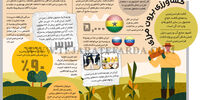کشاورزی برون مرزی