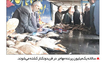 پشته از کشته کرونا

