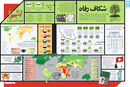 شکاف  رفاه