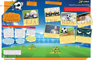 صنعت فول 