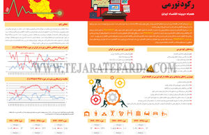رکود تورمی