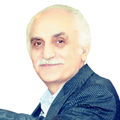 محمدرضا رضوی