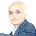 محمدرضا رضوی