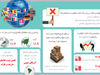 منظره رونق و خطر