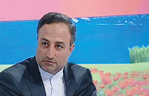 سازمان استاندارد بررسی نکرده است