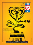 بودجه سمی