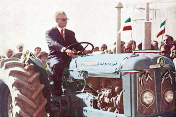 پوست موز