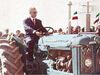 پوست موز