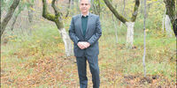 اعداد بی‌محتوا

