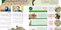 تهدیدها و هشدارهایی درباره محیط زیست ایران