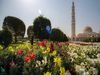 در کشور عمان نمی توانید به جنگل بروید