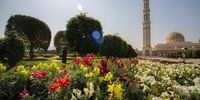 در کشور عمان نمی توانید به جنگل بروید