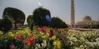 در کشور عمان نمی توانید به جنگل بروید