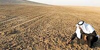 بحران غذا در سوریه