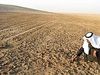 بحران غذا در سوریه