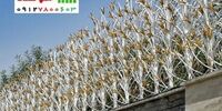 نصب نرده حفاظ شاخ گوزنی بر روی دیوار ساختمان و ویلا