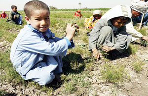 کودکان کار