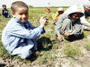 کودکان کار