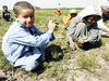 کودکان کار