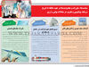 بازار پول