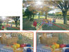 دوربین‌های حرفه‌ای در تلفن همراه
