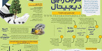 کربن‏‌زایی دیجیتال