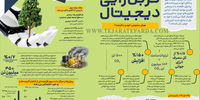 کربن‏‌زایی دیجیتال