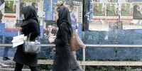 انتخابات، کسب و کار من است