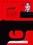 خودزنی